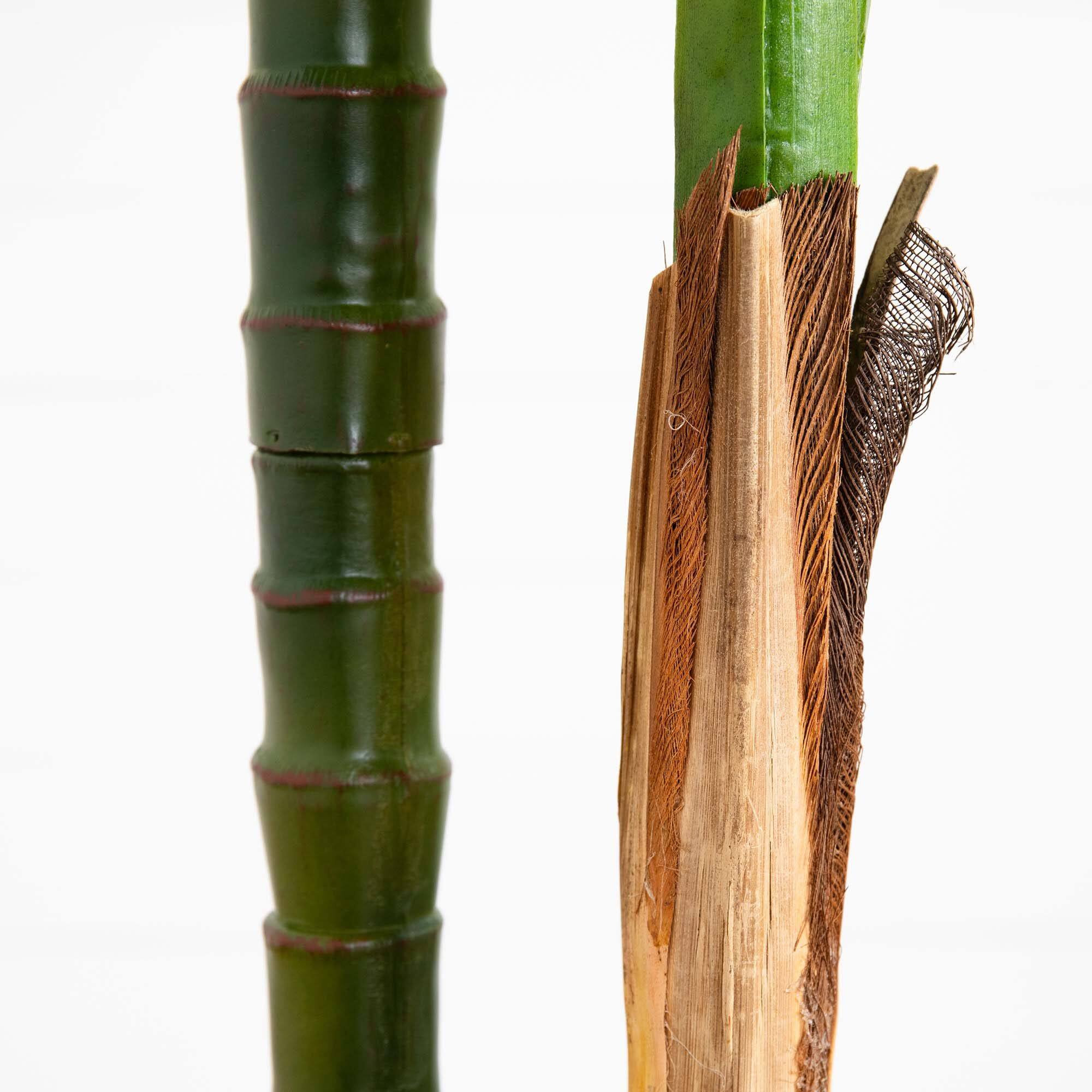 9ft. Potted Green UV Resistant Artificial Double Robellini Palm Tree